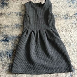 Women’s Loft Dress for Work/Church/Formal Event, size 2P